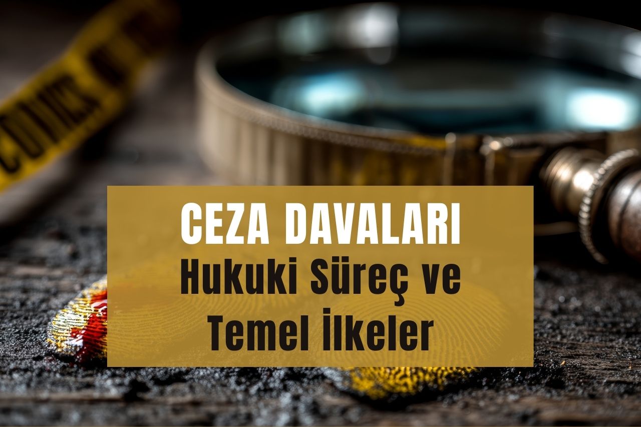 CEZA DAVALARI: Hukuki Süreç ve Temel İlkeler